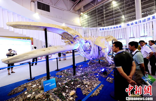 点图查看下一页