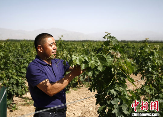 点图查看下一页