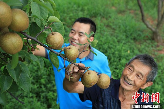 点图查看下一页