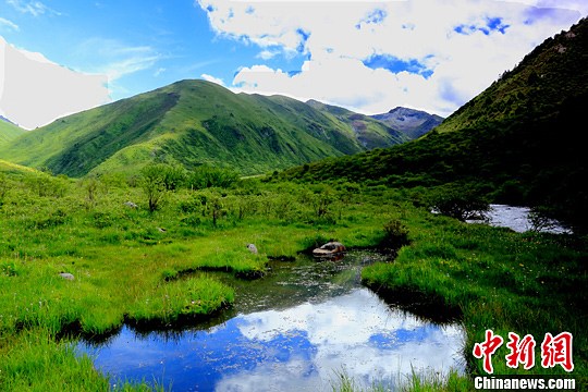 四川阿坝州理县米亚罗国营牧场胜境.雷振林 摄