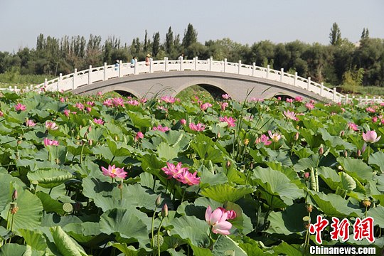 点图查看下一页