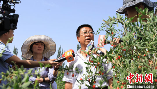 点图查看下一页