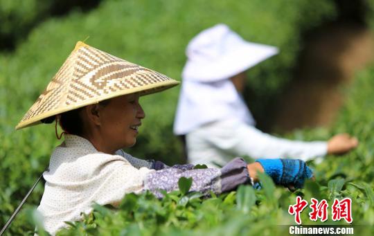 点图查看下一页