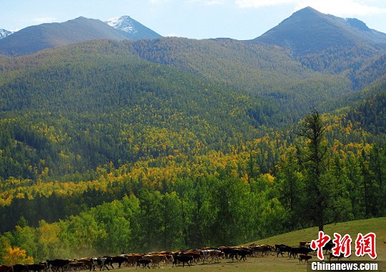 点图查看下一页