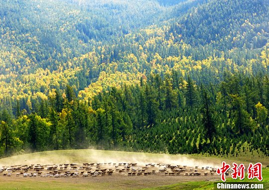 点图查看下一页