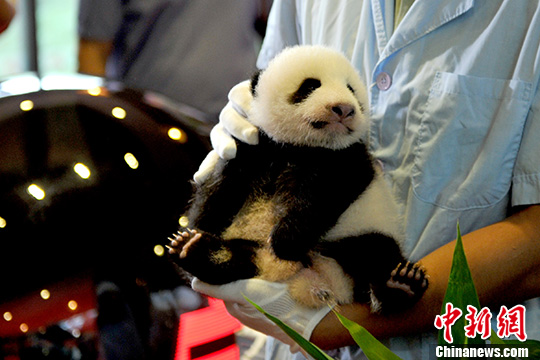 点图查看下一页