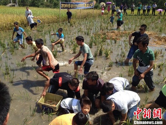 点图查看下一页