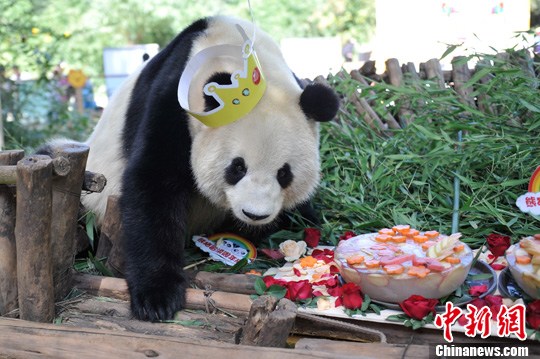 点图查看下一页