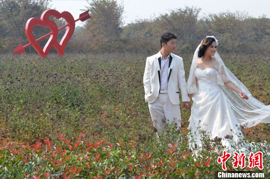 点图查看下一页