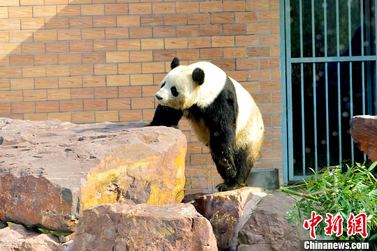 点图查看下一页