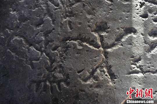 探访四川阿坝州神秘的莫斯都岩画