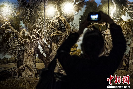 点图查看下一页