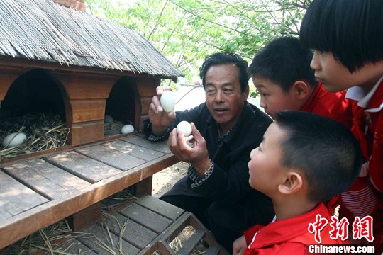 点图查看下一页