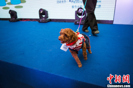 点图查看下一页