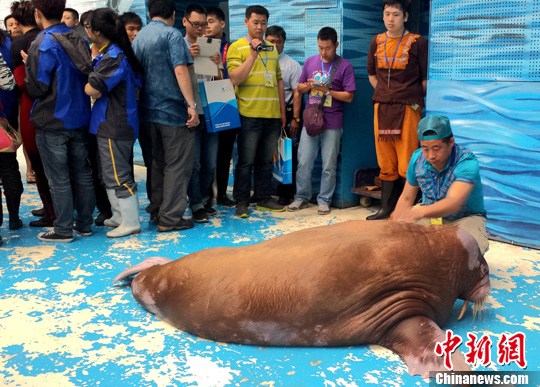 点图查看下一页