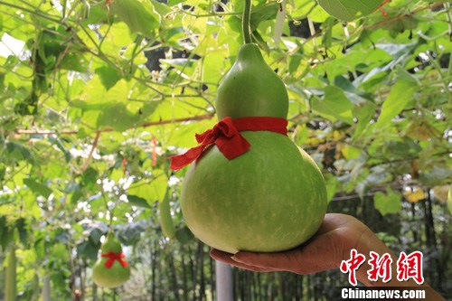 点图查看下一页