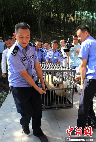 点图查看下一页