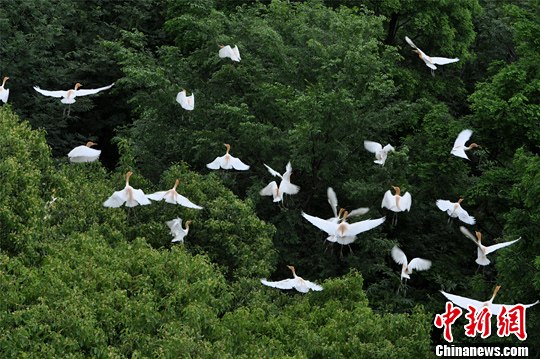 点图查看下一页