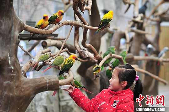 ��������԰����Ȥ