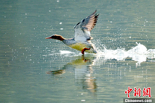 点图查看下一页