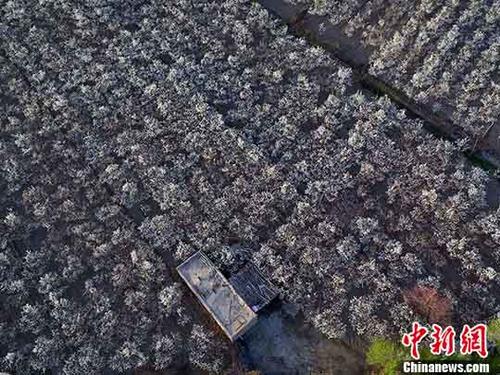 点图查看下一页