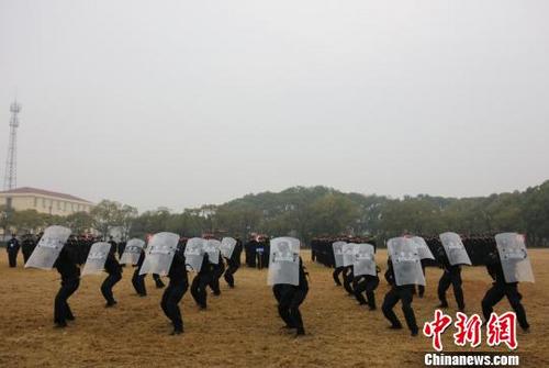 ������·������о���ʵս���������