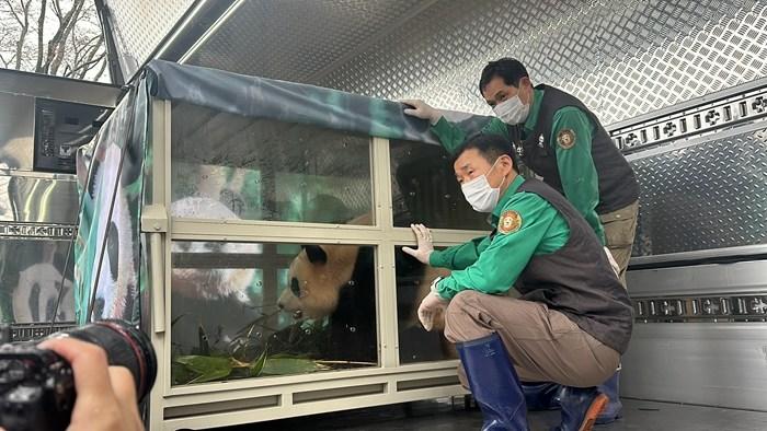 旅韩大熊猫“福宝”启程返回中国