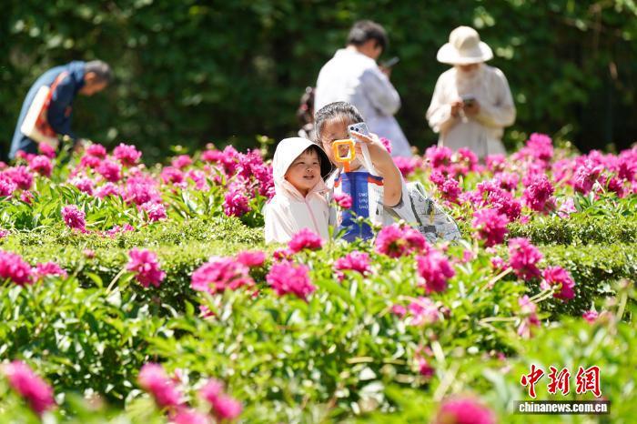 小朋友哈尔滨儿童公园欢度“六一”芍药花开吸引游人打卡