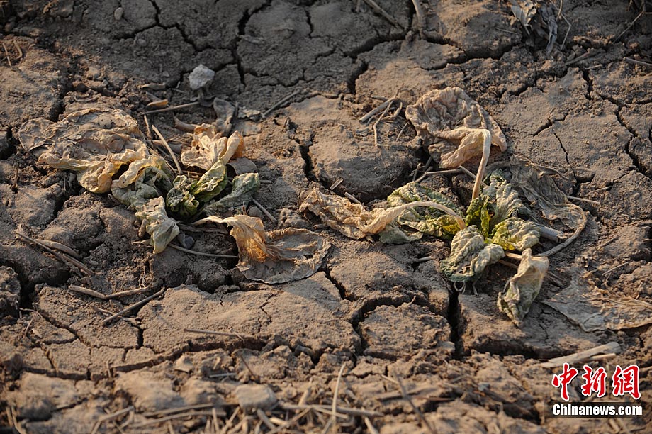 中国北方部分地区干旱持续