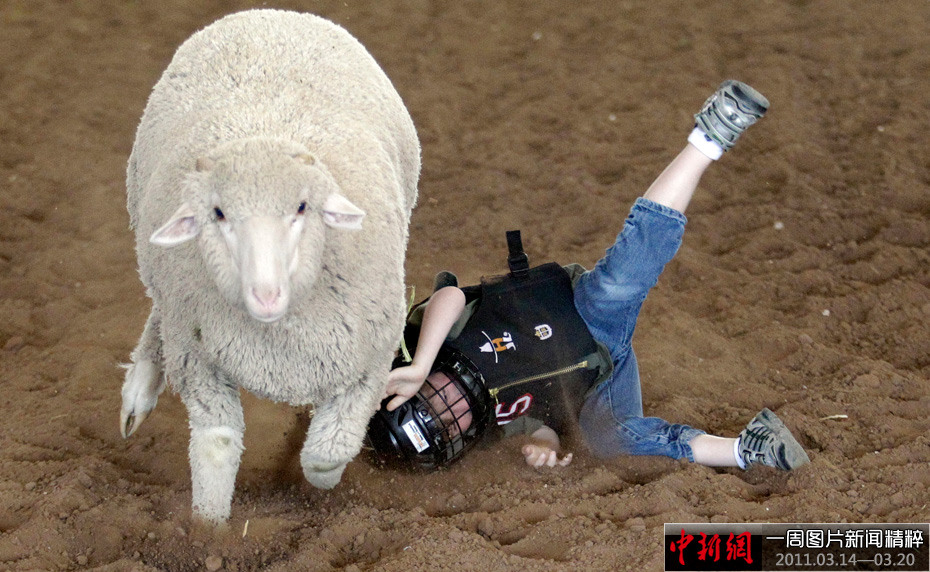 中新网一周新闻图片精粹