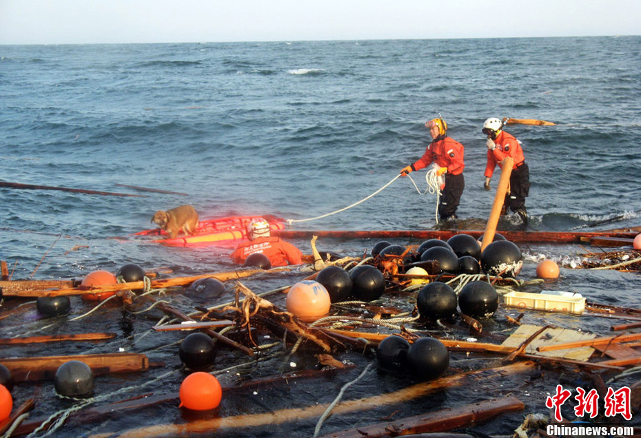 �ձ�������ǿ�����20������