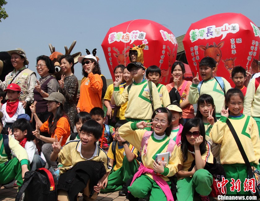 ̨��С����Ϊ����½����ɽ����÷��¹����