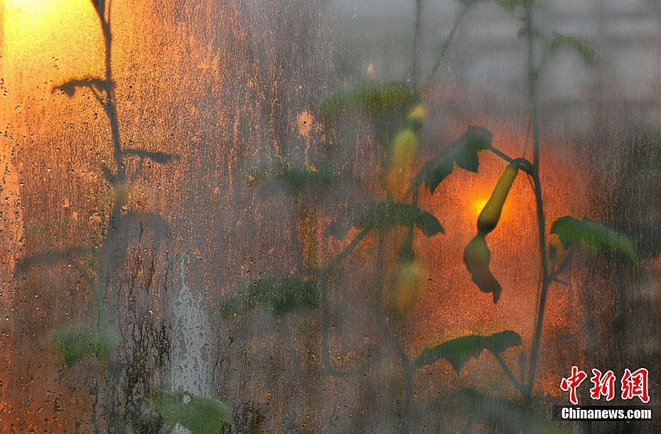 �봨���������ġ��ι�����——����̫����������������