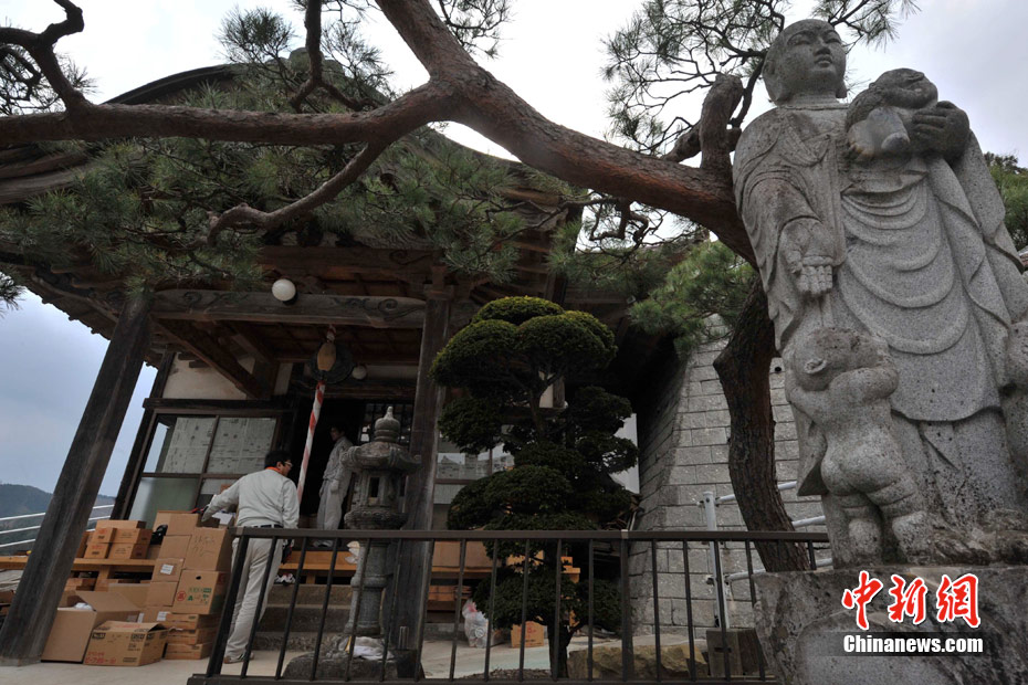 幸存者在日本净念寺避难——佛殿变救灾仓库