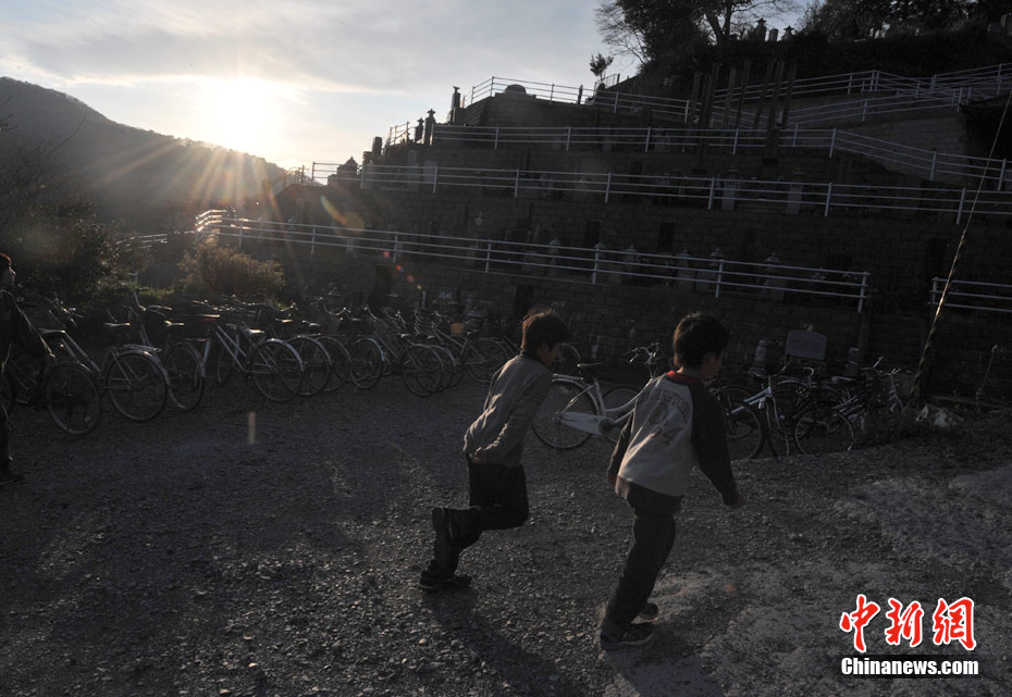 幸存者在日本净念寺避难——墓地成为孩童乐园