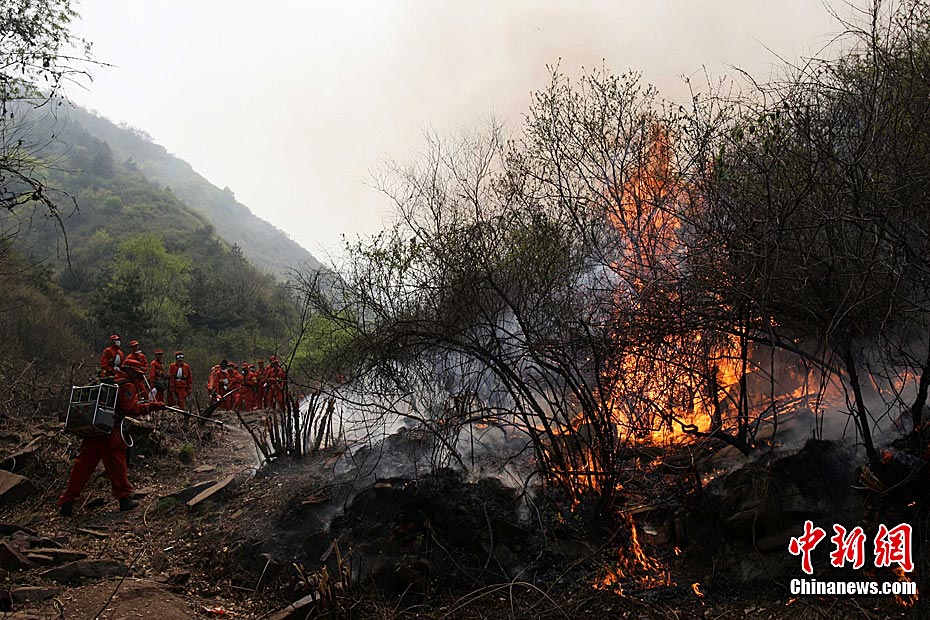 山西晋中与阳泉交界处森林火灾基本控制