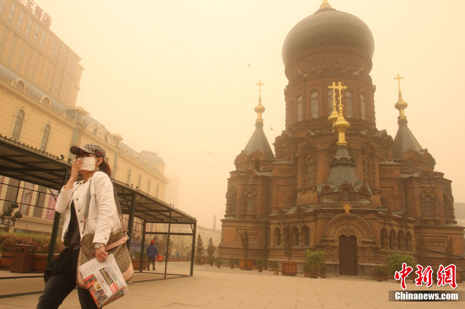 �й�������������ɳ������