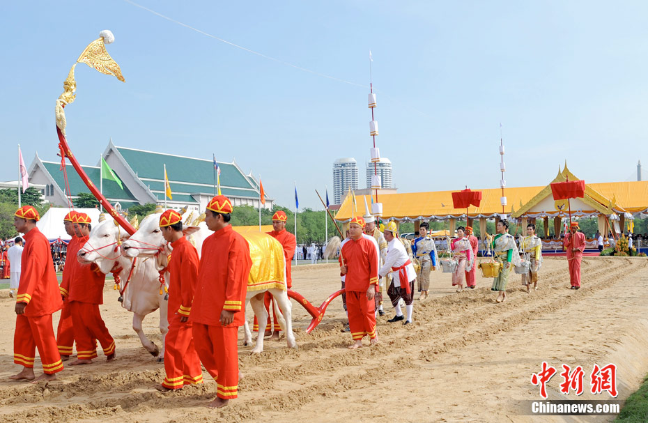泰国举行传统春耕节皇家典礼