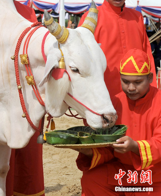 泰国举行传统春耕节皇家典礼