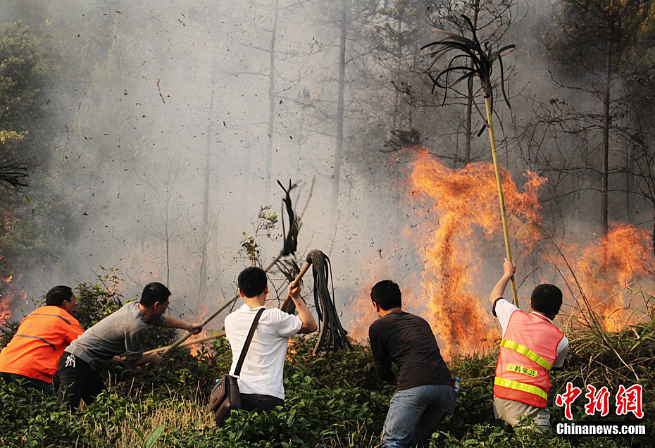 重庆荣昌山火吞噬千亩山林近3000人扑火19小时