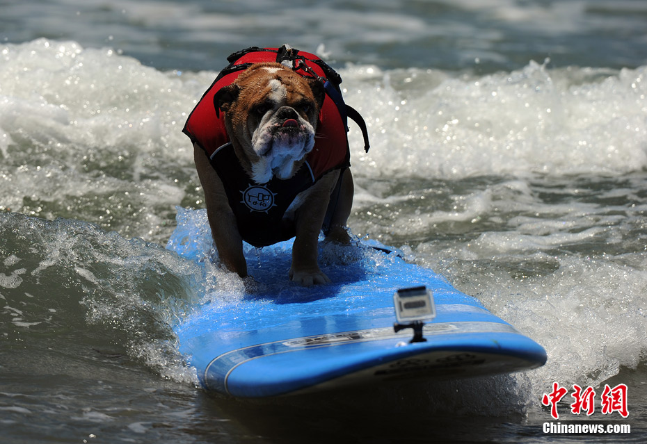 ����Ȥͼ��С�����˱���