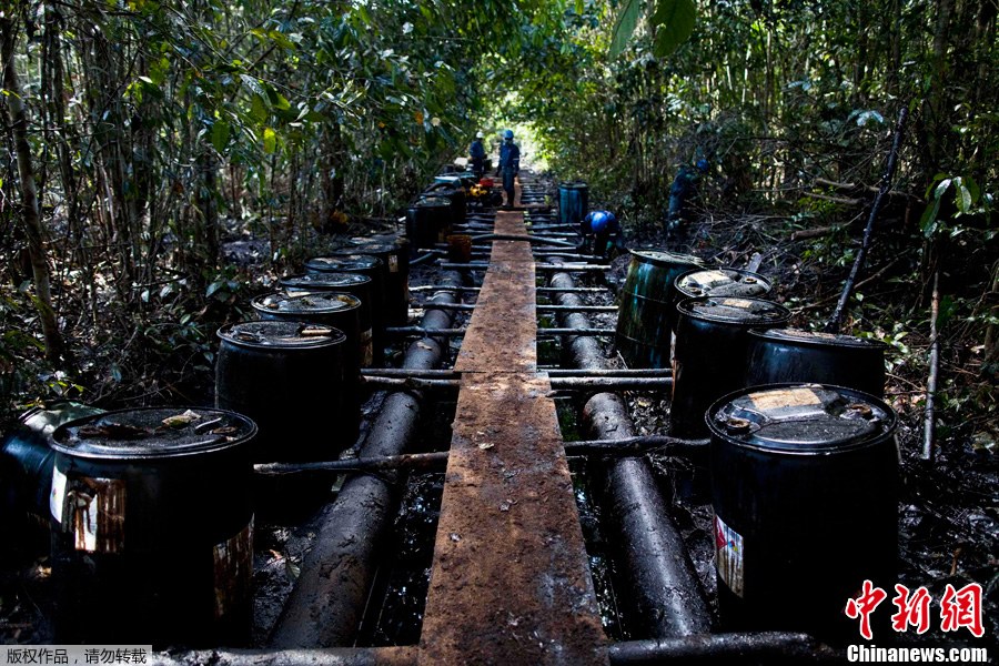 ��³ǧͰԭ��й©��Ⱦ����ѷɭ��