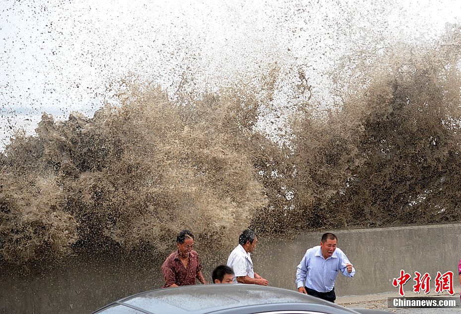 Ǯ�����󳱡�׷�򡱹���