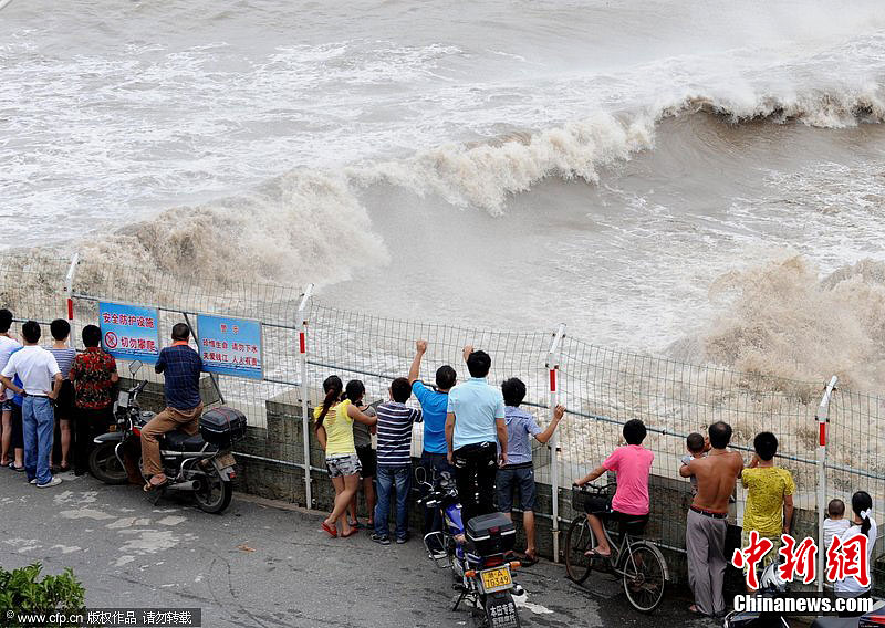 Ǯ������ �Ʋ��ɵ�