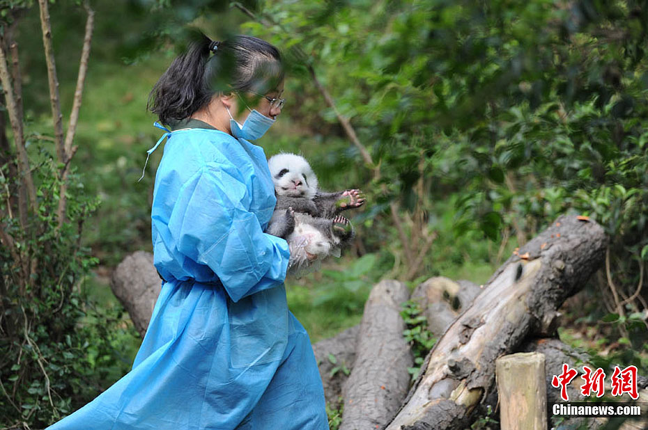 ��è��������ʱ�����ܼ����չ�ԡ