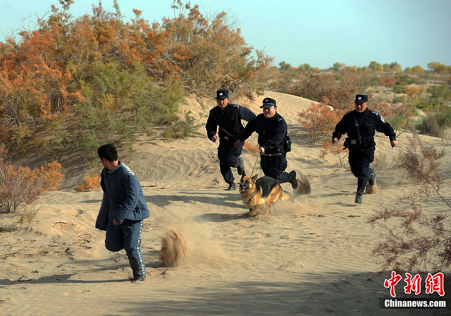 新疆南疆某监狱戈壁大漠中举行处突演练