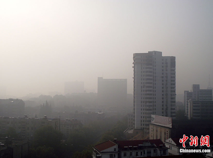 ��������̨��������������ɫԤ��