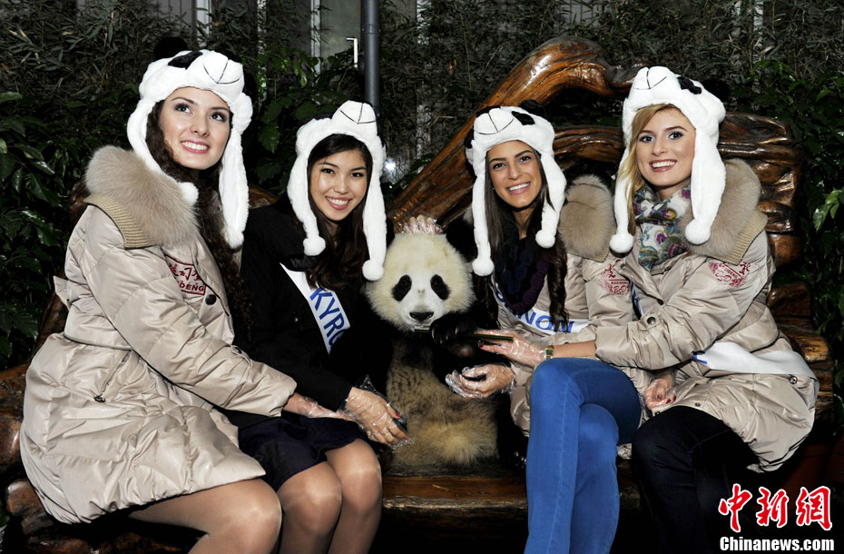 ������С�㡱�����ɶ�ӵ����è 