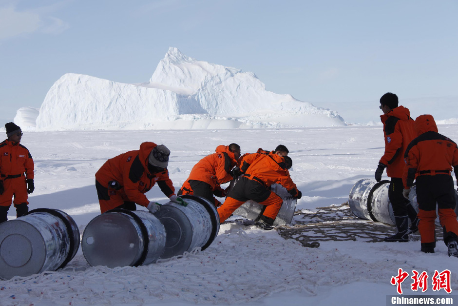 中国南极科考队冰上探路遇憨态可掬南极海豹