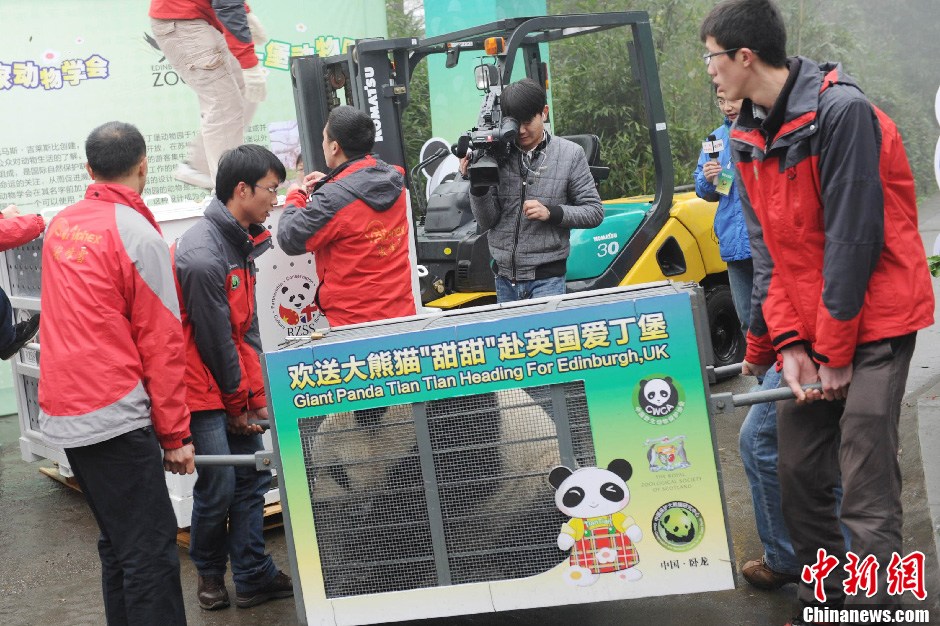 ����è�������롰���⡱���̸�Ӣ��